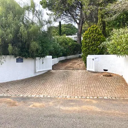Loumic Villa *