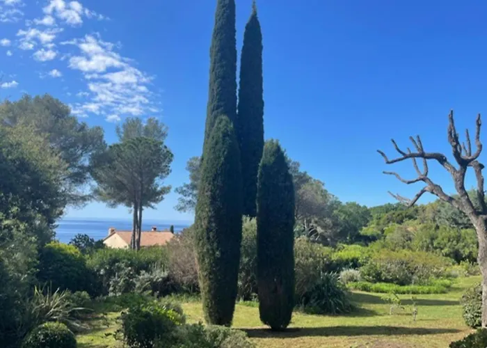 Loumic La Croix-Valmer